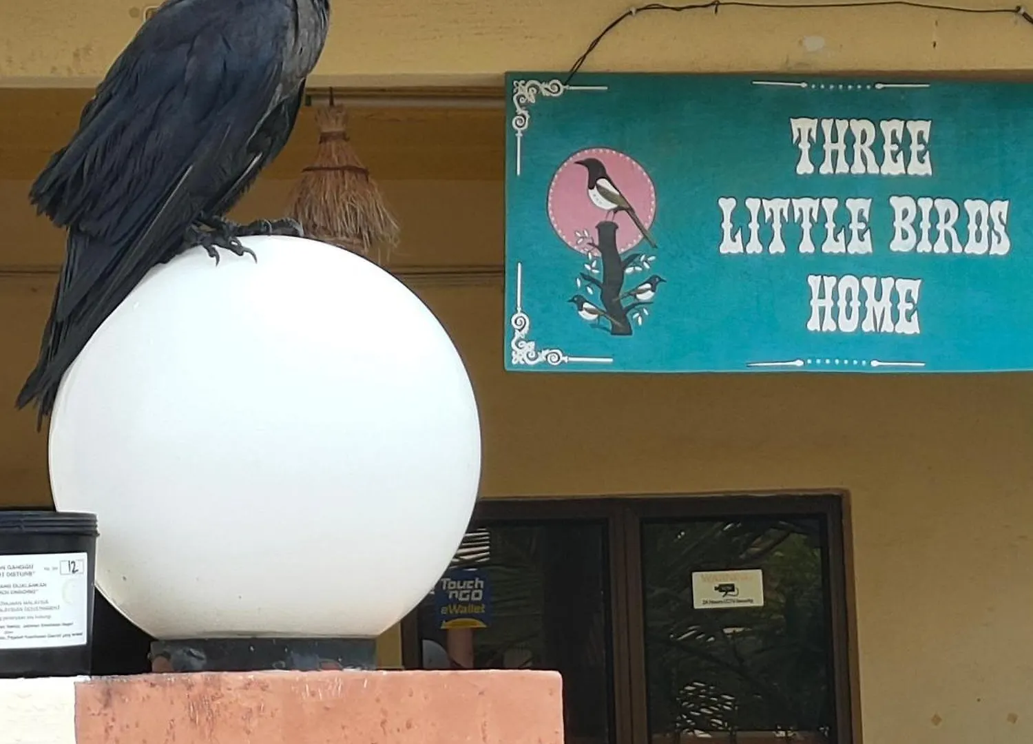 3 Little Birds Home, 100Meter To Jonkerwalk Malacca Hostel
